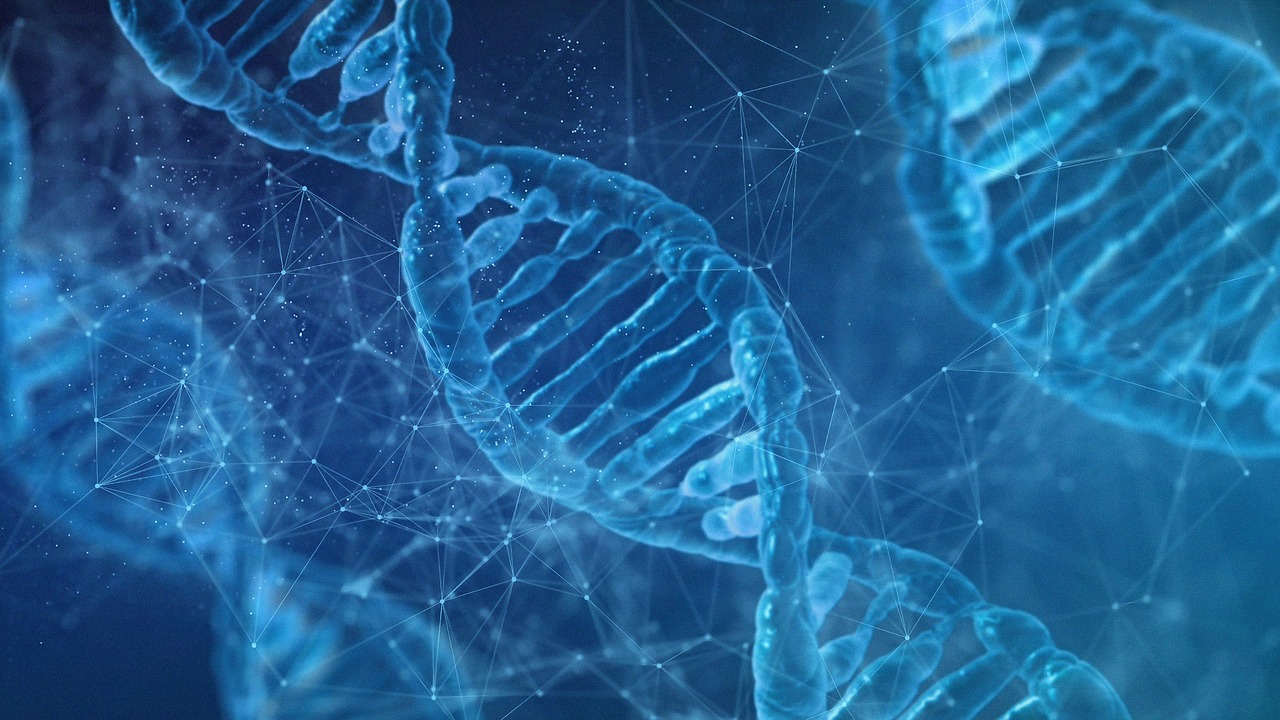 Das Bild zeigt einen DNA-Strang